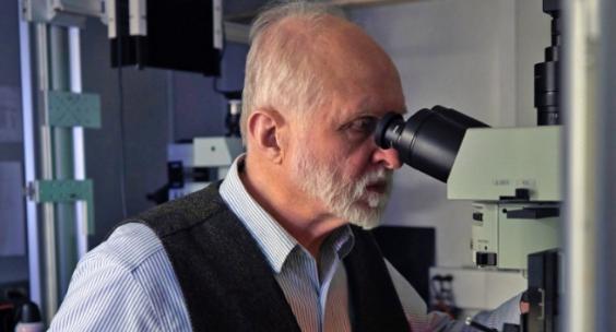 通过显微镜观察